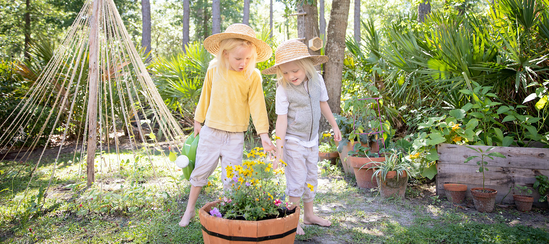 Finding Peace In Your Backyard