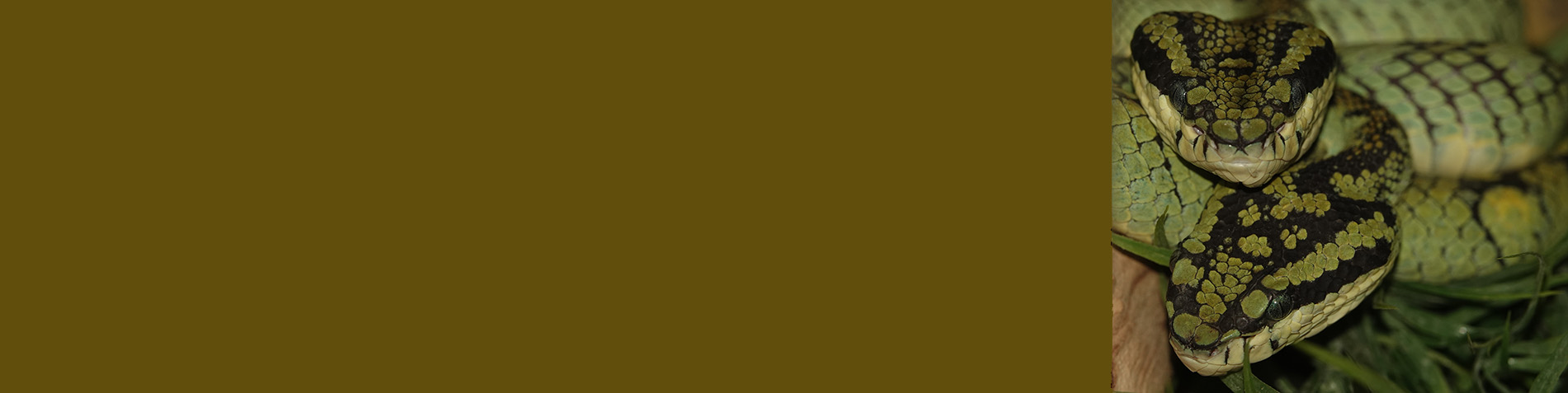 alerts the reader to the nature of the site